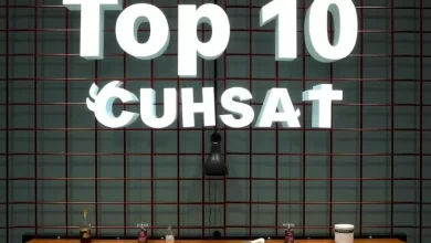 Photo of Топ-10 оригинальных идей с металлическими сетками